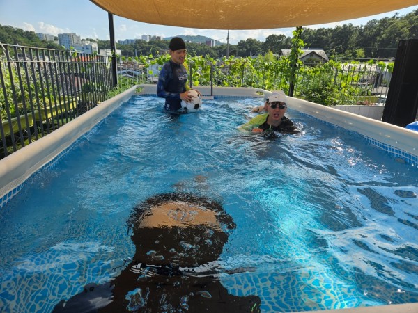 9ac7ff555daf76e159d4199148183254_1756198